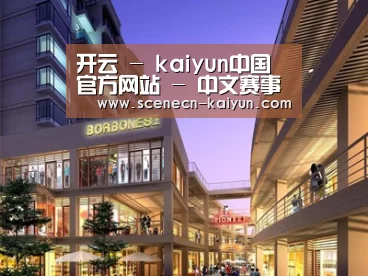 案例展示一