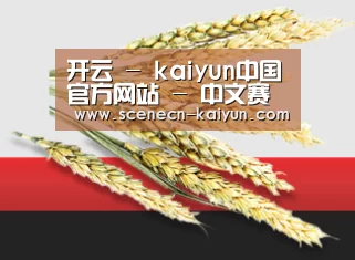 开云 - kaiyun中国官方网站 - 中文赛事服务中心