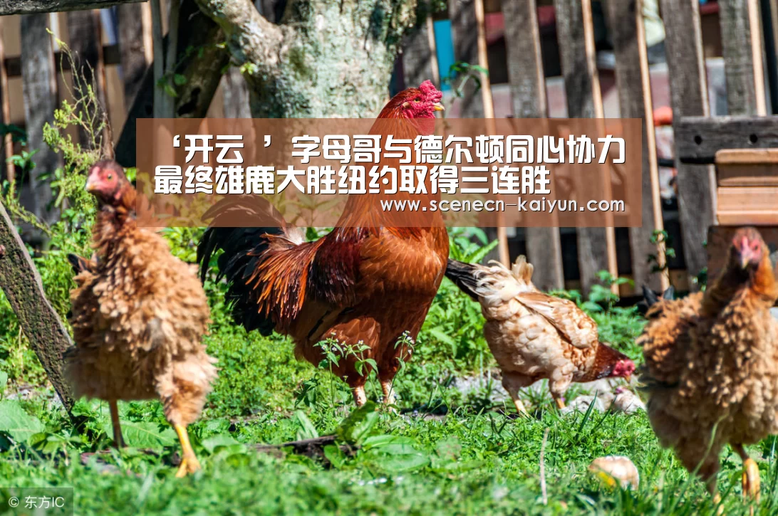 开云 