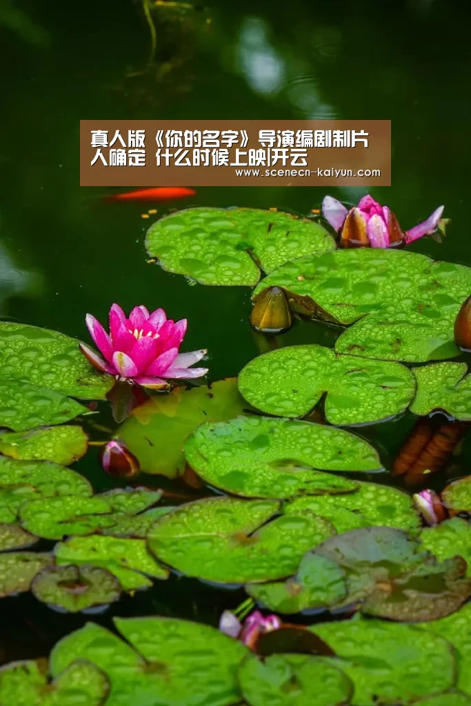  kaiyun官网首页 